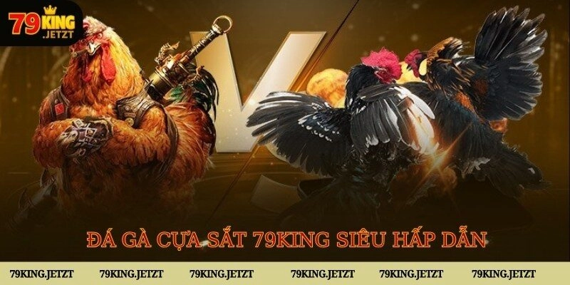 Chọi kê cựa sắt mở ra khoảng thời gian giải trí hấp dẫn