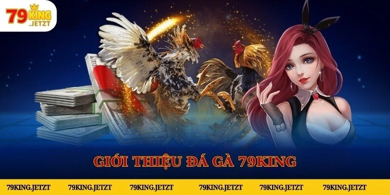 Đôi nét về sảnh cược đá gà 79KING