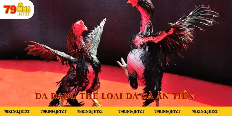 Đa dạng thể loại đá gà ăn tiền do nhà cái ban hành