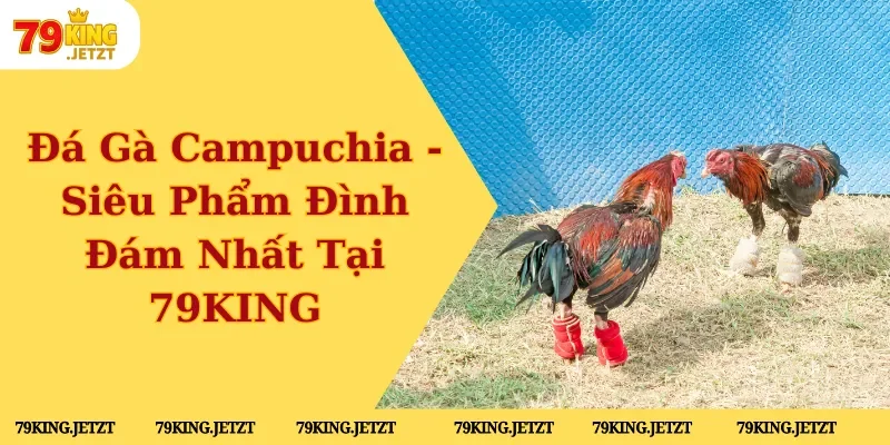 đá gà campuchia