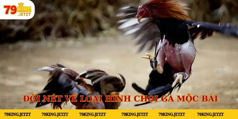 Khám phá đôi nét về loại hình chọi gà mộc bài