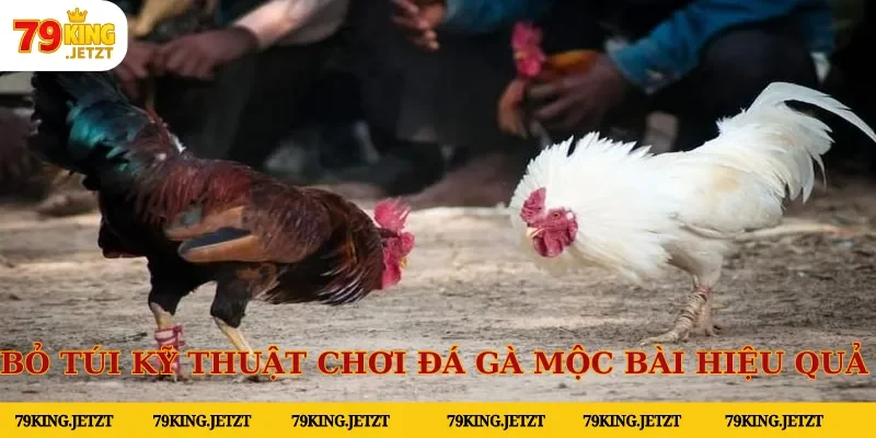 Bỏ túi ngay một số kỹ thuật chơi đá gà mộc bài hiệu quả