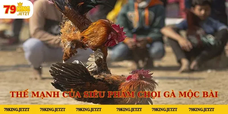 Thế mạnh của siêu phẩm chọi gà mộc bài tại hệ thống