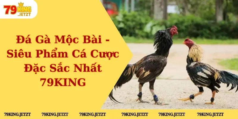 Đá gà mộc bài