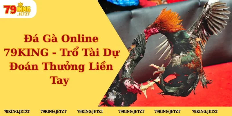 đá gà online