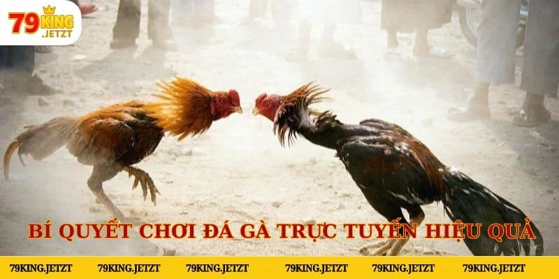 Hãy theo dõi các hành động của từng chiến kê trước khi lựa chọn để xuống tiền